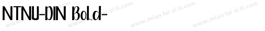 NTNU-DIN Bold字体转换
